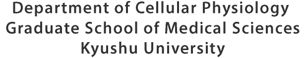 Department of Cellular Physiology Graduate School of Medical Sciences Kyushu University